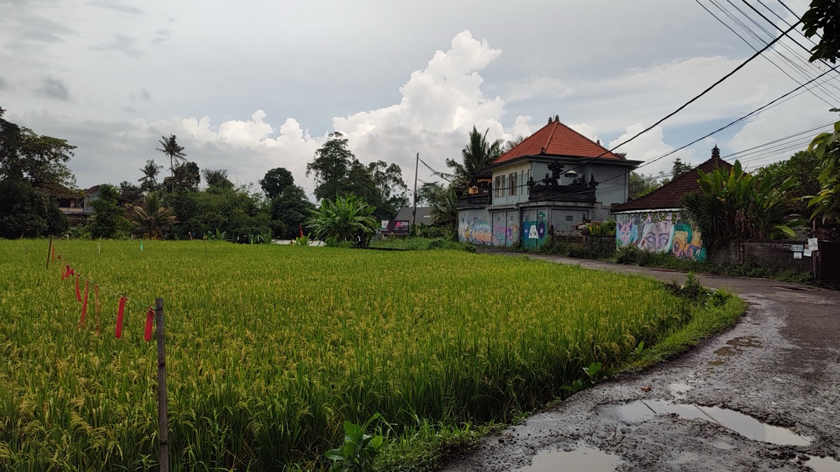 Bali, Indonesia, photo 4
