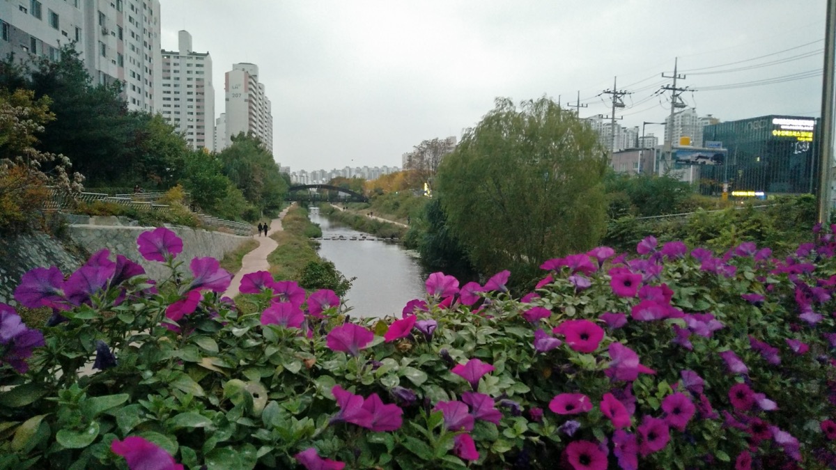 South Korea, photo 4