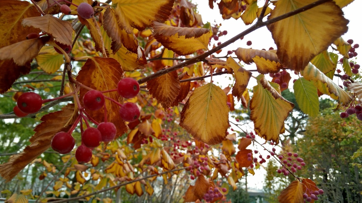 South Korea, photo 6